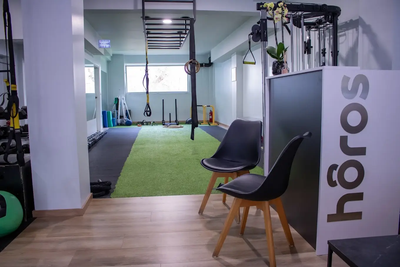 Horos Studio